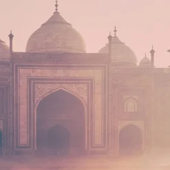 Outlet Adopt Bombay Chic