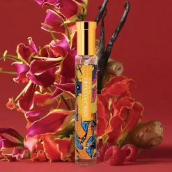 Outlet Adopt Couleurs Africaines