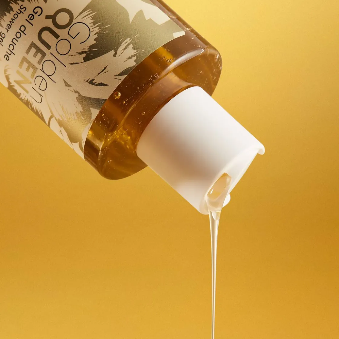 Best Adopt Golden Queen