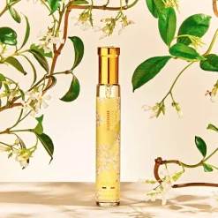 New Adopt Jasmin Divin