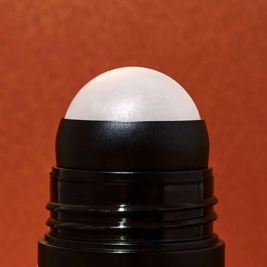 Best Adopt Maintenant Ou Jamais