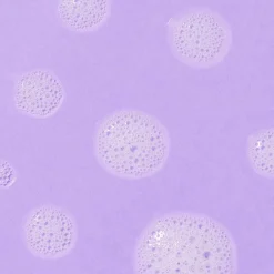 Best Adopt Ne Pour Etre Frais